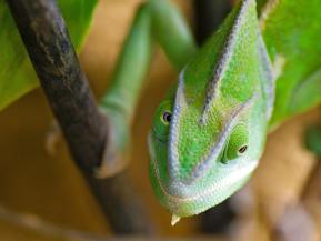 Wer die richtigen Bonds wählt, spart Steuern